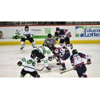 Sourh Carolina Stingrays battle the Savannah Ghost Pirates