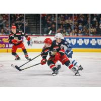 Grand Rapids Griffins' Austin Czarnik and Manitoba Moose' Jeff Malott on game night