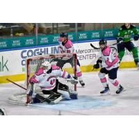 Worcester Railers goaltender John Muse