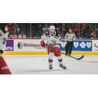 Grand Rapids Griffins center Nolan Stevens