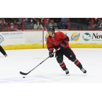 Defenseman Reece Harsch with the Cincinnati Cyclones