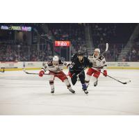 Grand Rapids Griffins' Wyatt Newpower and Tim Gettinger and Cleveland Monsters' Mikael Pyyhtia in action