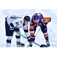 Worcester Railers' Riley Piercey versus Orlando Solar Bears' James Mazza