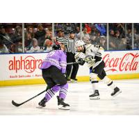 Utah Grizzlies' Jacob Semik battles Wheeling Nailers' Louis Roehl