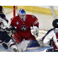 Allen Americans goaltender Marco Costantini