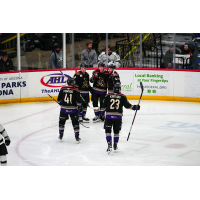 Tucson Roadrunners on game night