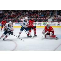 Springfield Thunderbirds look for a goal against the Charlotte Checkers