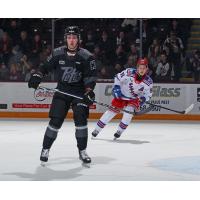 Peterborough Petes defenceman William Haley vs. the Kitchener Rangers