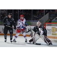 Peterborough Petes goaltender Liam Sztuska vs. the Kitchener Rangers