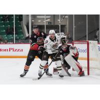 Belleville Senators defend against the Hershey Bears