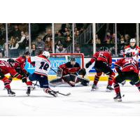 Red Deer Rebels goaltender Chase Wutzke and his defense