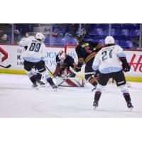 Vancouver Giants goaltender Brett Mirwald