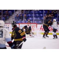 Vancouver Giants goaltender Brett Mirwald