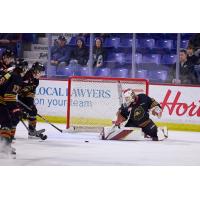 Vancouver Giants goaltender Brett Mirwald