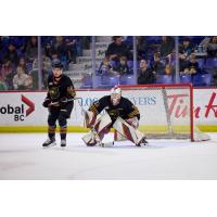 Vancouver Giants goaltender Brett Mirwald