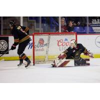 Vancouver Giants goaltender Brett Mirwald