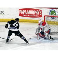 Wenatchee Wild's Steven Arp versus Spokane Chiefs' Dawson Cowan