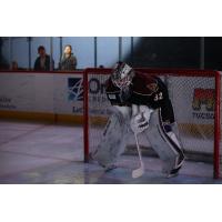 Tucson Roadrunners goaltender Dylan Wells