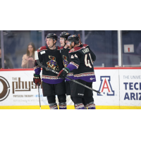 Tucson Roadrunners gather after a goal