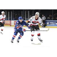 Rochester Americans' Mason Jobst and Belleville Senators' Tyler Kleven in action