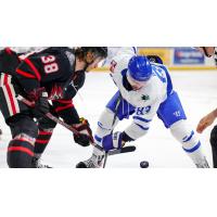 Wichita Thunder forward Jake Wahlin (right) in a faceoff