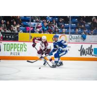 Peterborough Petes' Caden Taylor and Sudbury Wolves' Donovan McCoy in action