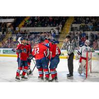 Springfield Thunderbirds celebrate win