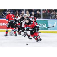 Kelowna Rockets' Andrew Cristall in action