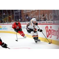 Lehigh Valley Phantoms defenseman Ronnie Attard vs. the Charlotte Checkers