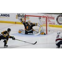 Wheeling Nailers' Taylor Gauthier in action