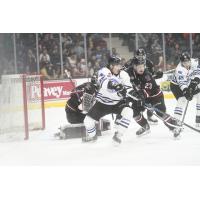 Wenatchee Wild's Kenta Isogai in action