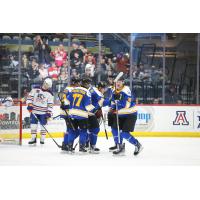 Tucson Roadrunners on game night