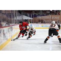 Lehigh Valley Phantoms right wing Cooper Marody (right) vs. the Charlotte Checkers