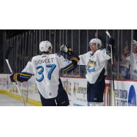 Toledo Walleye forward Alexandre Doucet celebrates a goal