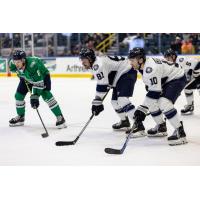 Worcester Railers take on the Florida Everblades