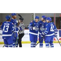 Wichita Thunder celebrate following a goal