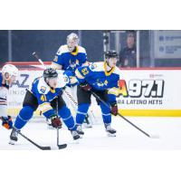 Tucson Roadrunners defend their goal