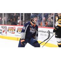 Flint Firebirds right wing Nathan Aspinall