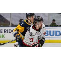 Norfolk Admirals'Josh McDougall and Adirondack Thunder's Travis Broughman on game night