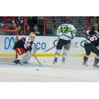 Rapid City Rush's Matt Radomsky and Simon Boyko and Savannah Ghost Pirates' Nolan Valleau in action