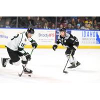 Utah Grizzlies' Dylan Fitze versus Idaho Steelheads' Trevor Zins