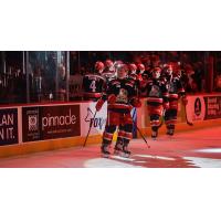 Grand Rapids Griffins hit the ice