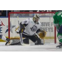 Jacksonville Icemen goaltender Matt Vernon