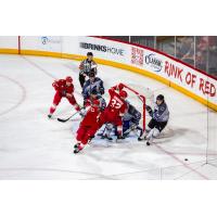 Allen Americans crash the Wichita Thunder net