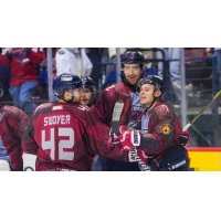 South Carolina Stingrays celebrate win