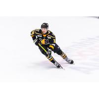 Wheeling Nailers' Jarrett Lee on the ice