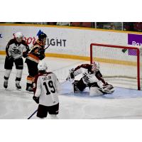 Peterborough Petes goaltender Liam Sztuska makes a glove save