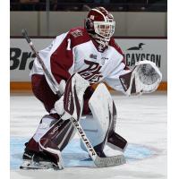 Peterborough Petes goaltender Liam Sztuska