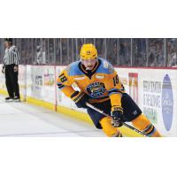 Trenton Bliss of the Toledo Walleye