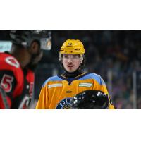 Toledo Walleye forward Trenton Bliss